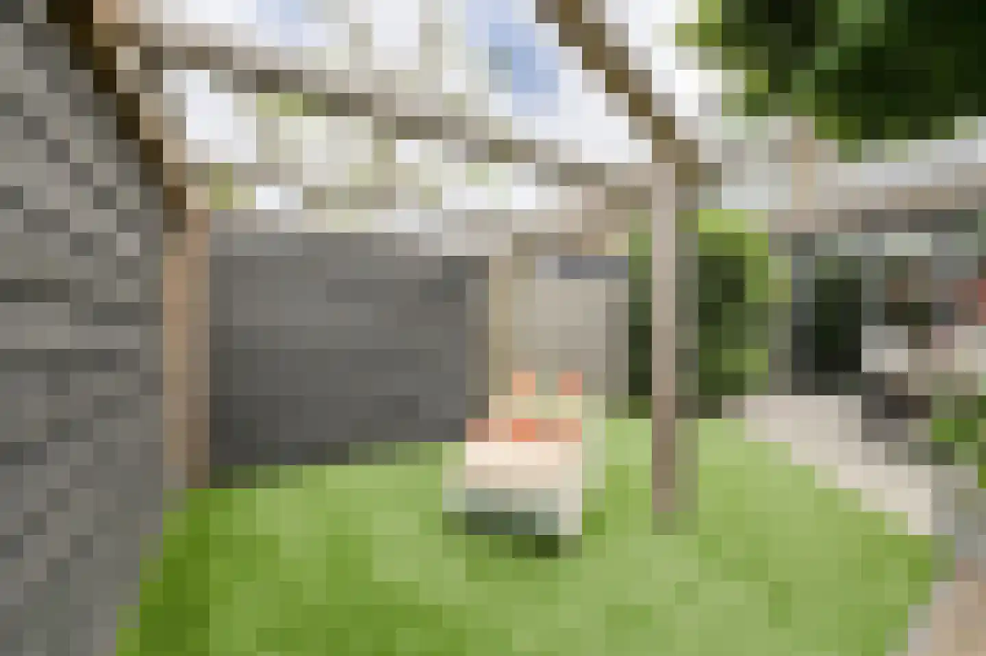 Petrusstraat 18 Breda thumbnail 44