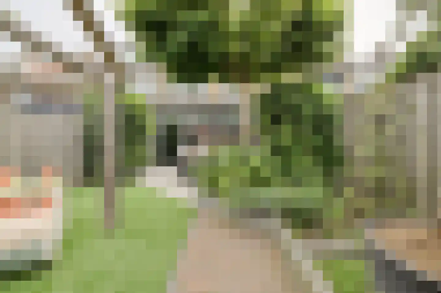 Petrusstraat 18 Breda thumbnail 46
