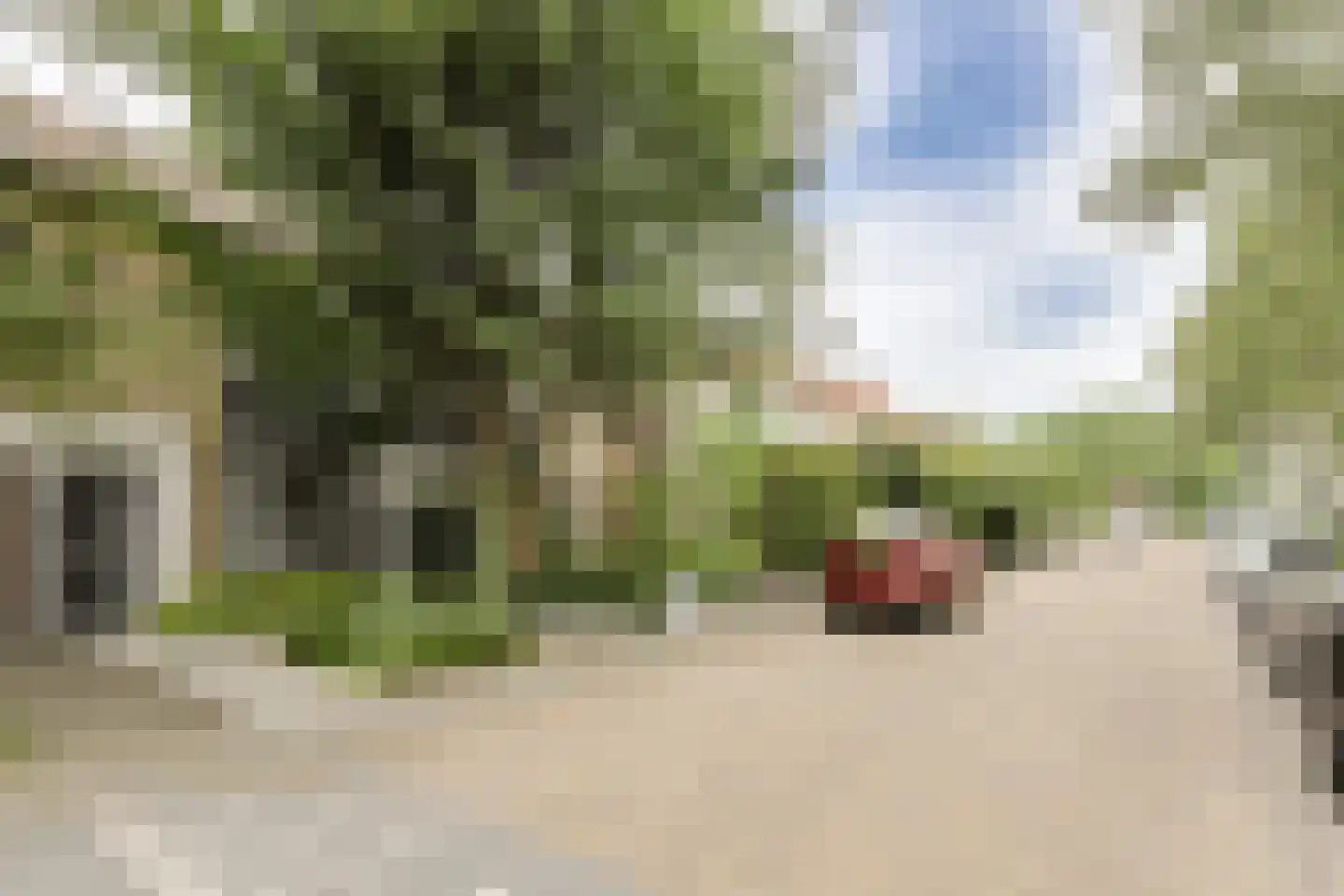 Petrusstraat 18 Breda thumbnail 50