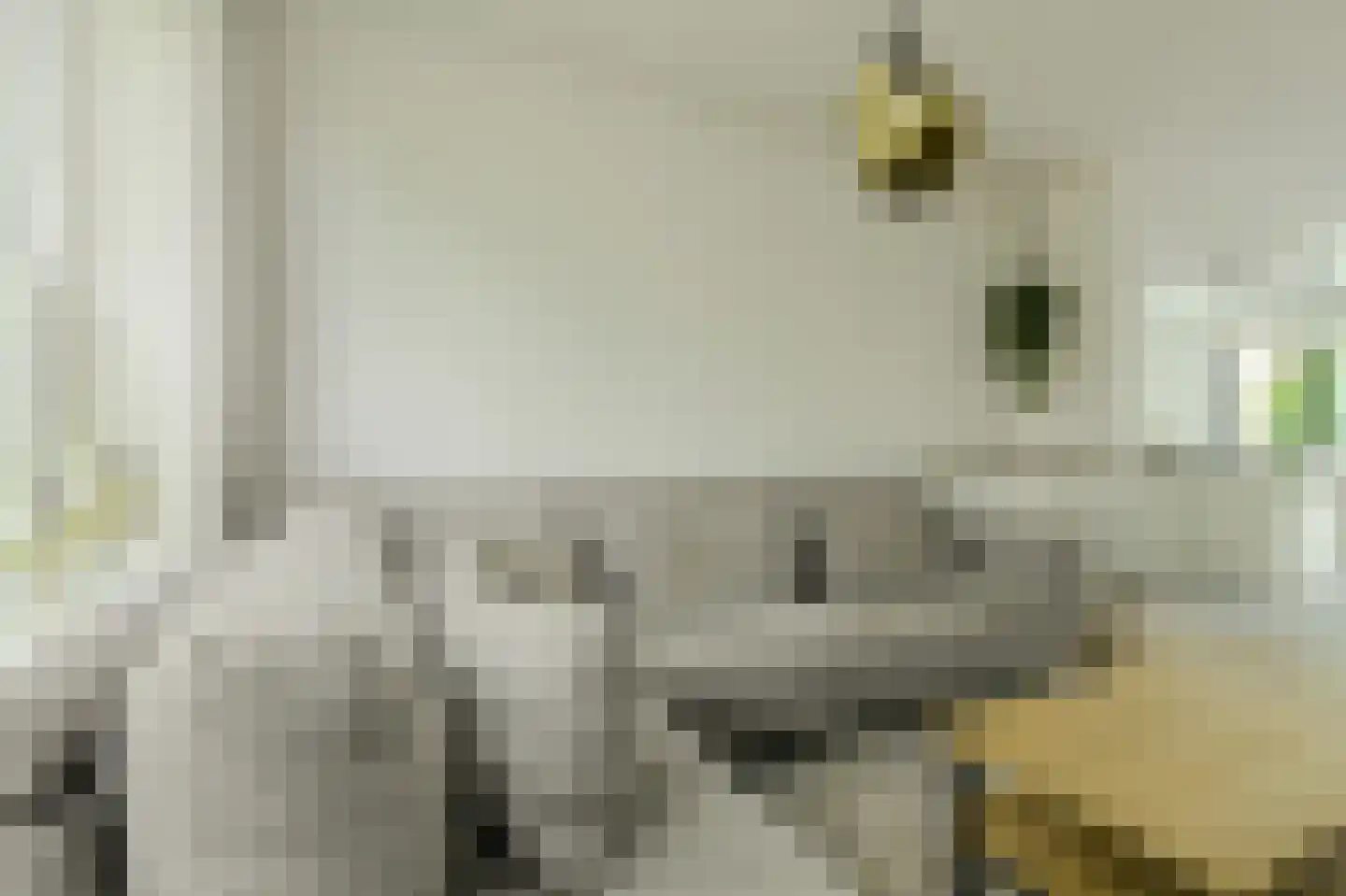 Petrusstraat 18 Breda thumbnail 6
