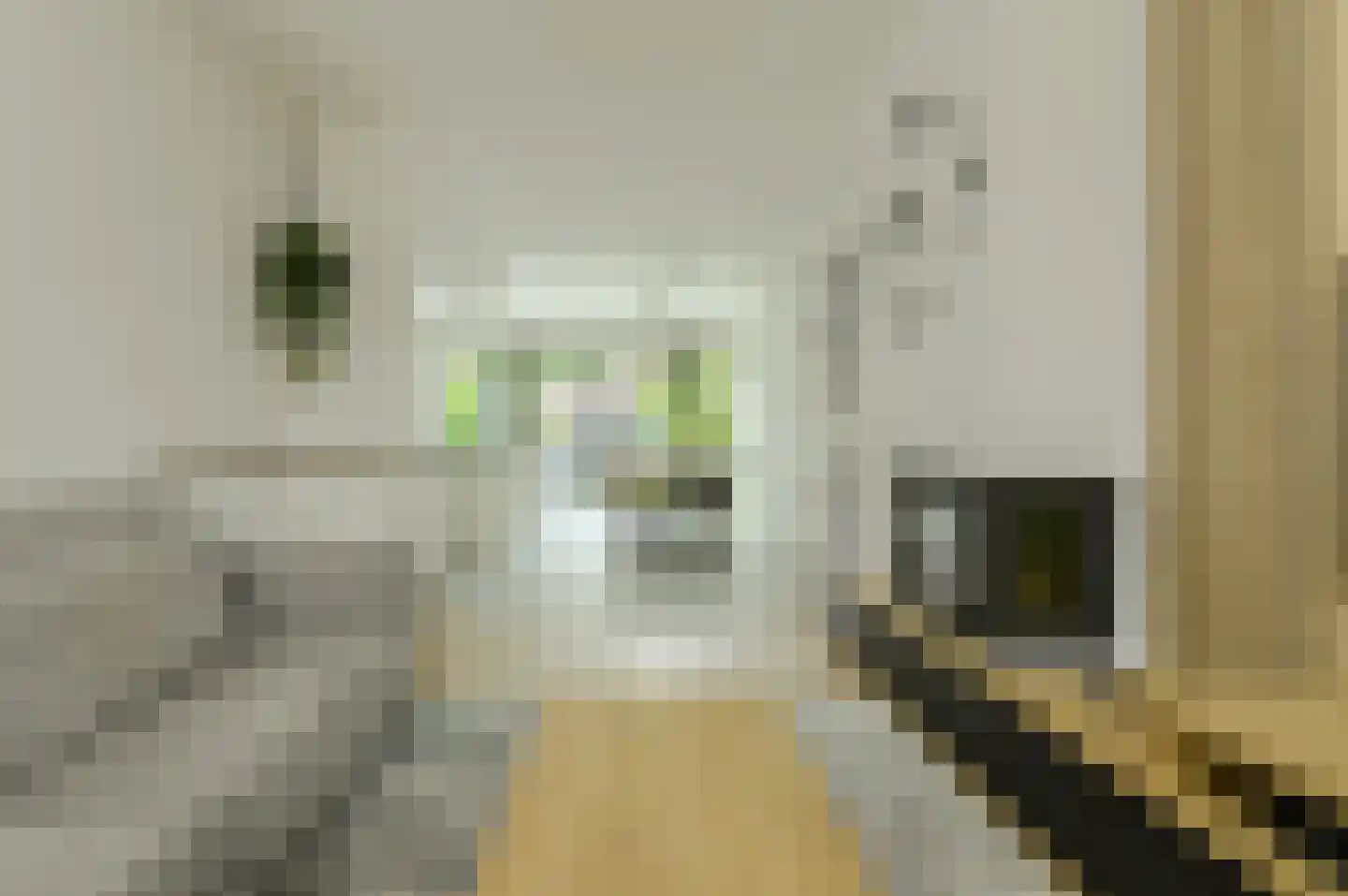 Petrusstraat 18 Breda thumbnail 7