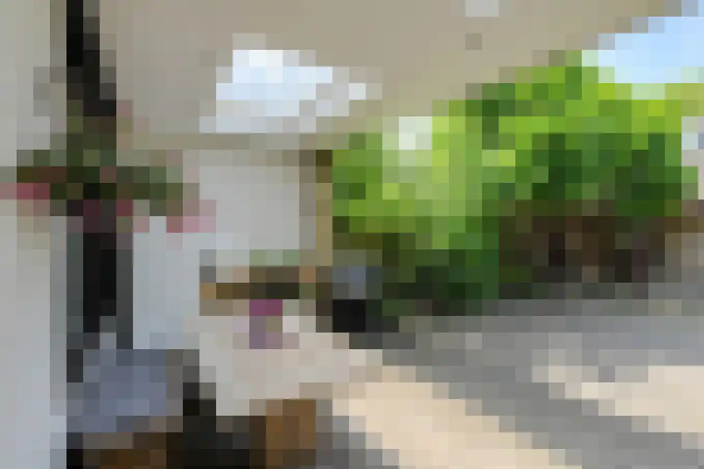 Petrusstraat 20 Breda thumbnail 34