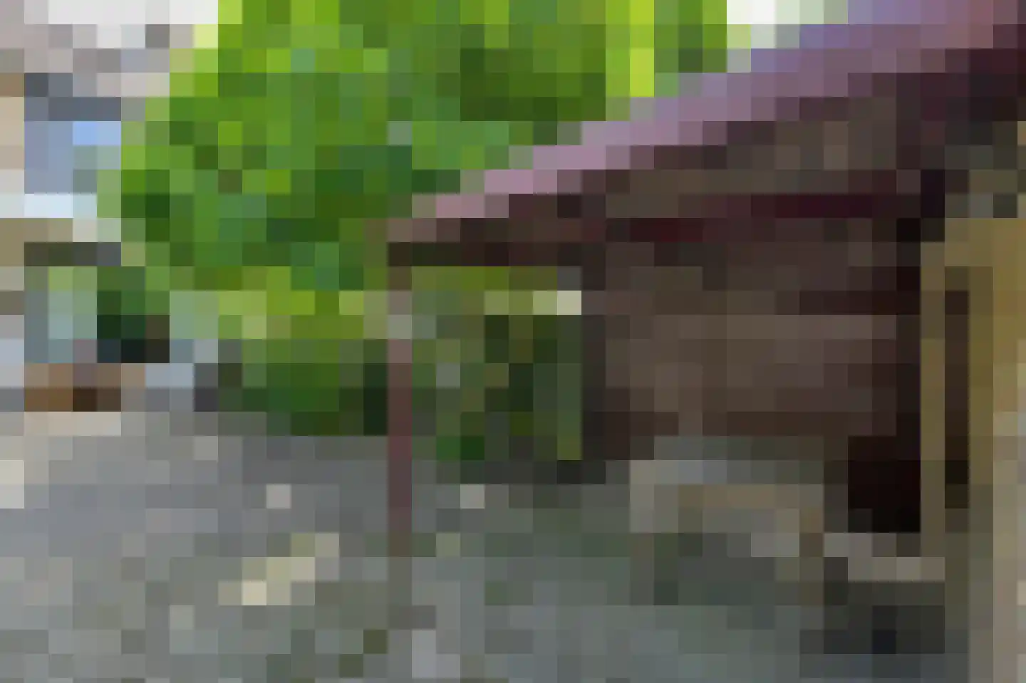 Petrusstraat 20 Breda thumbnail 35