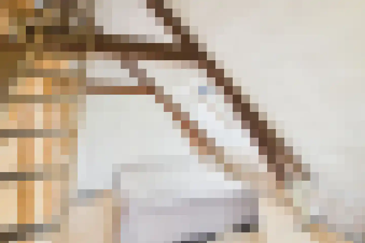Petrusstraat 7 Nieuw Namen thumbnail 11