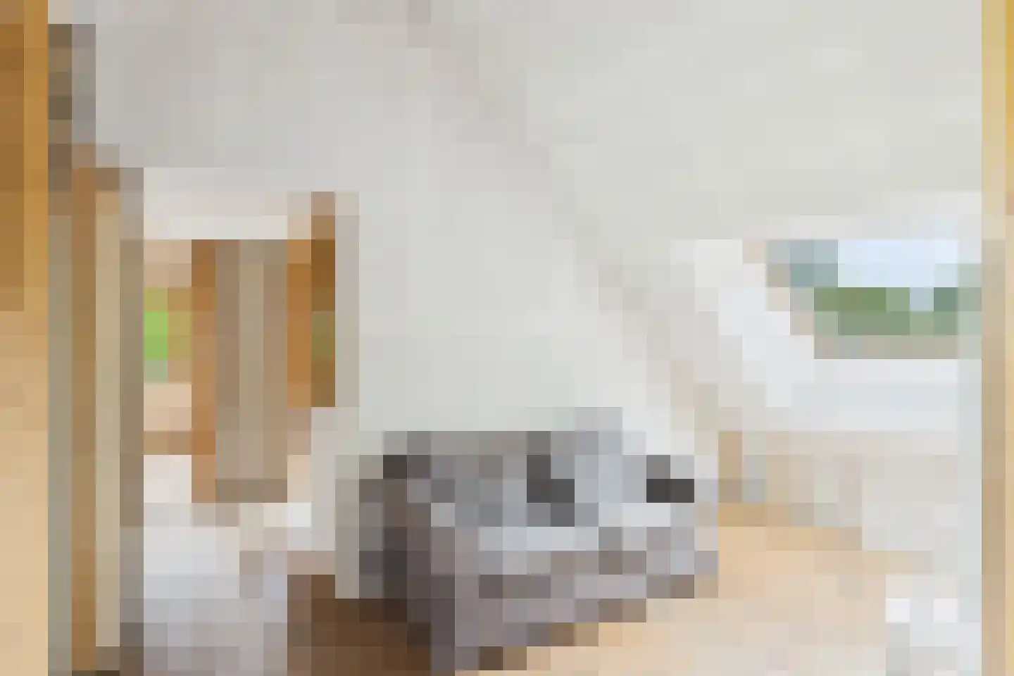 Petrusstraat 7 Nieuw Namen thumbnail 12