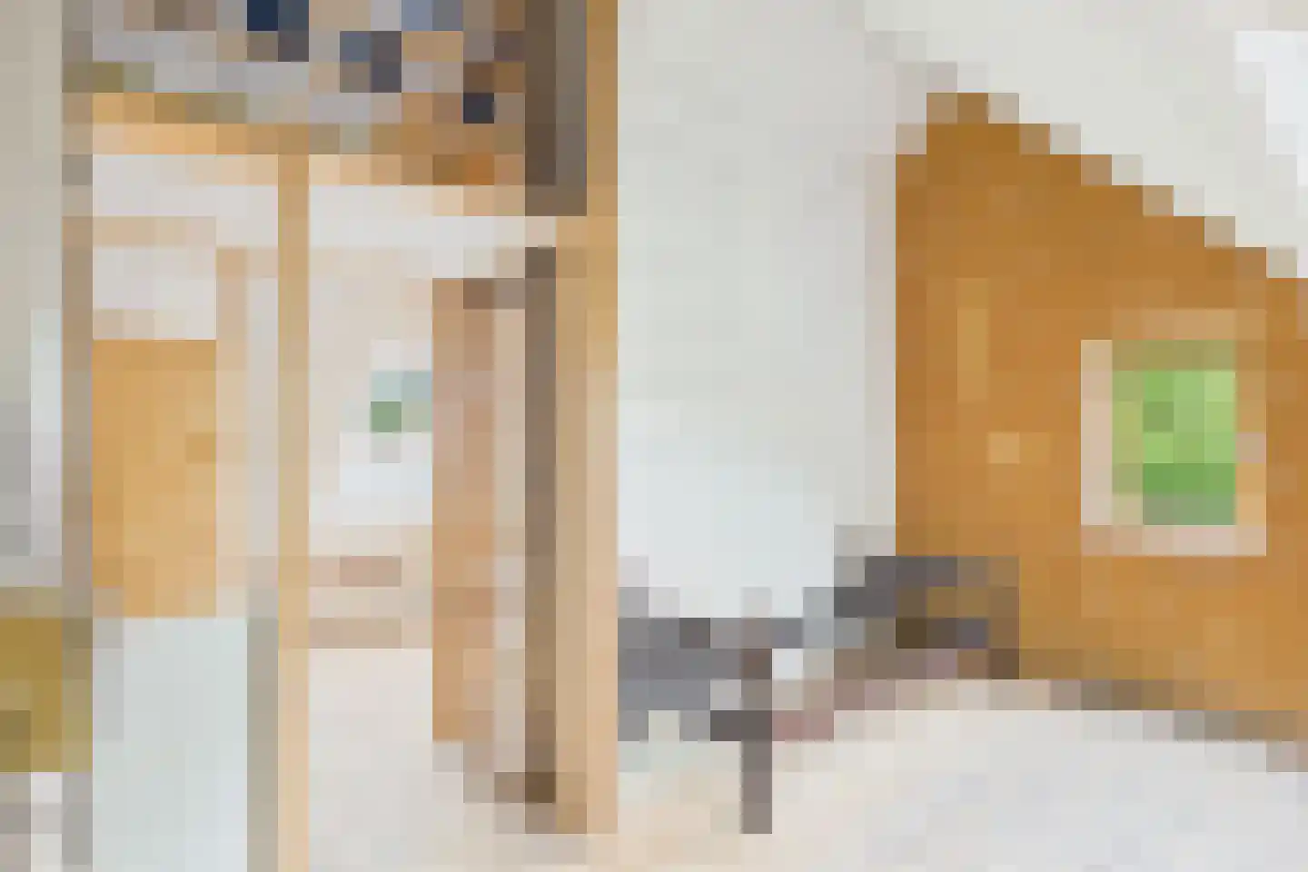 Petrusstraat 7 Nieuw Namen thumbnail 14