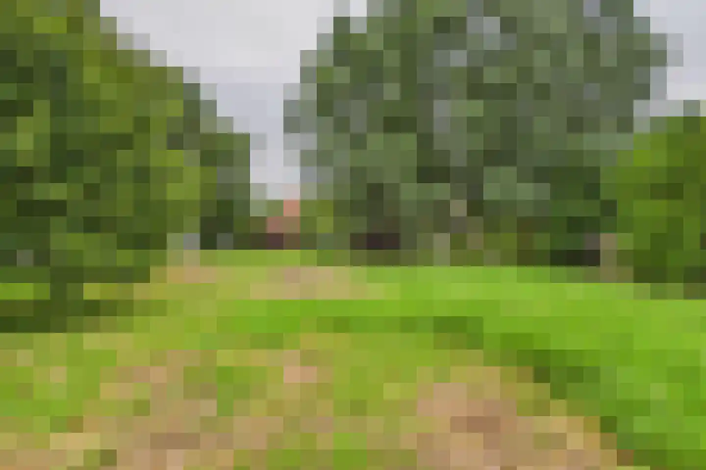 Petrusstraat 7 Nieuw Namen thumbnail 21