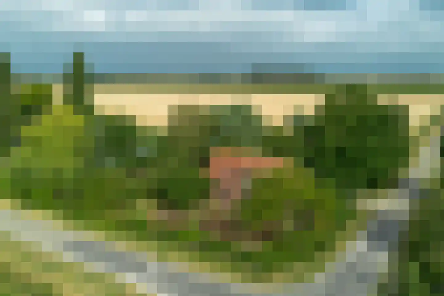 Petrusstraat 7 Nieuw Namen thumbnail 23