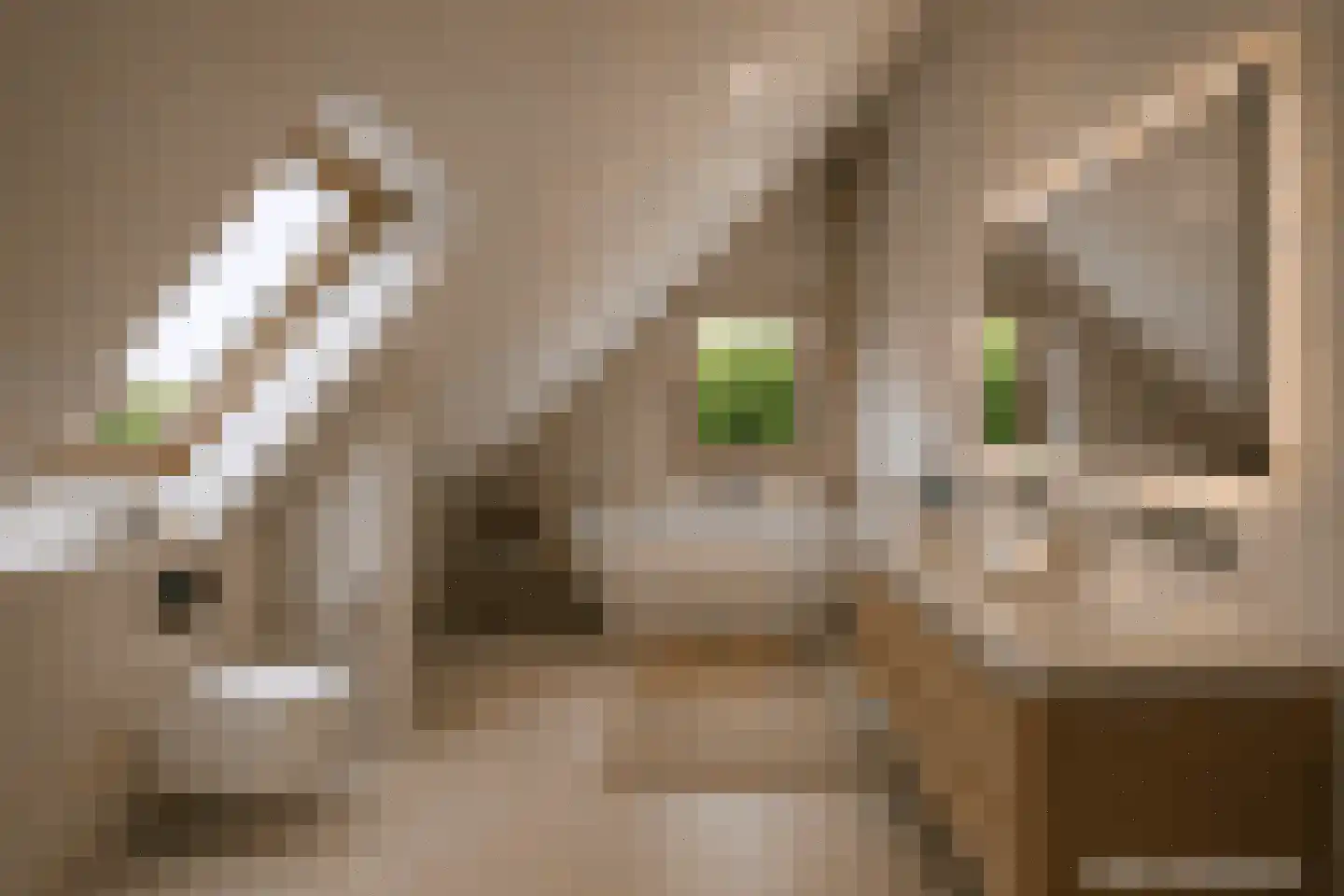 Petrusstraat 7 Nieuw Namen thumbnail 24