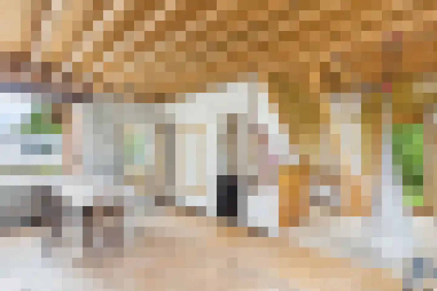 Petrusstraat 7 Nieuw Namen thumbnail 4