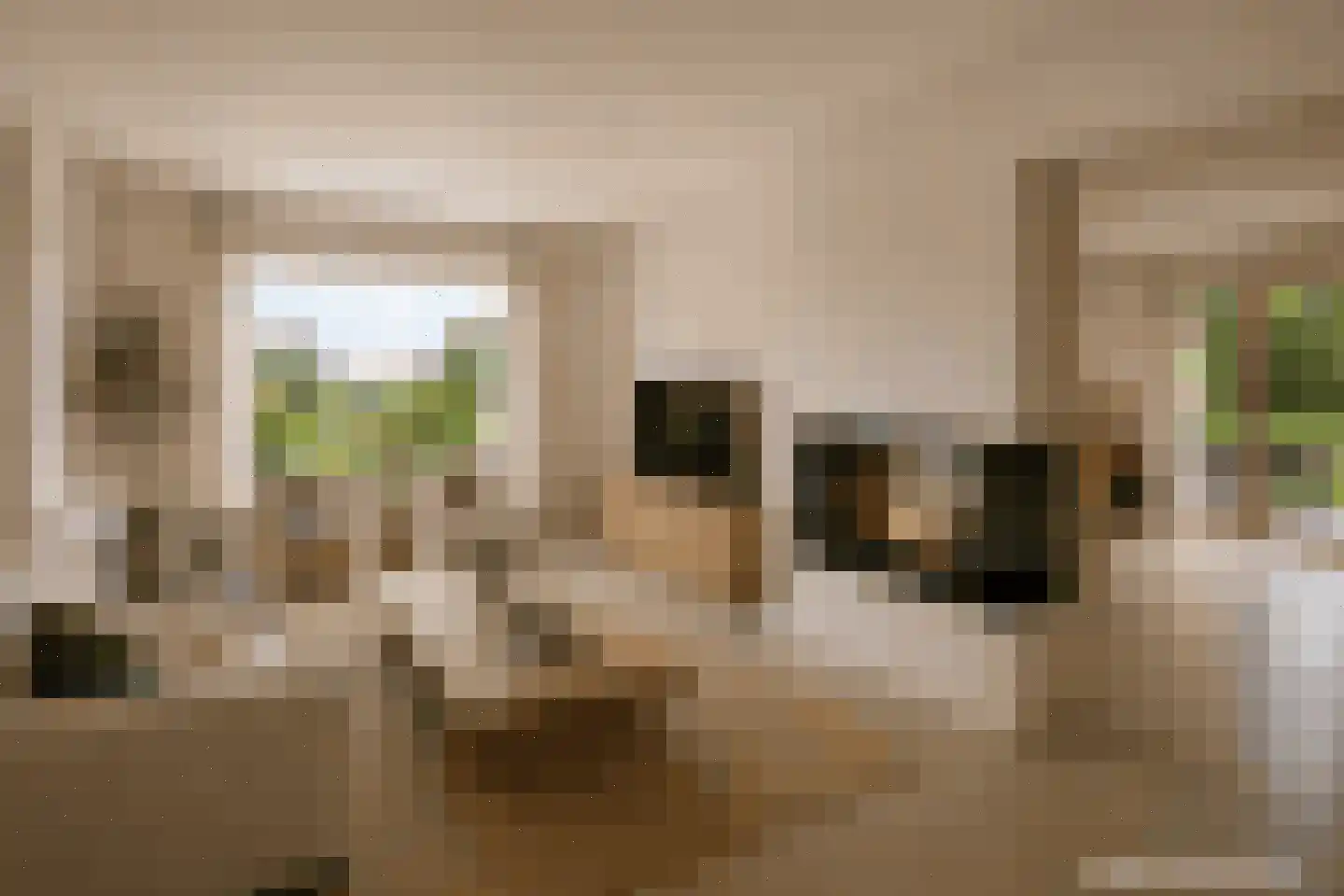 Petrusstraat 7 Nieuw Namen thumbnail 5