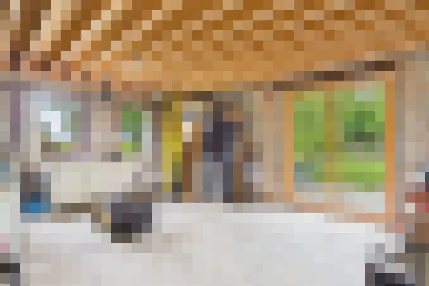 Petrusstraat 7 Nieuw Namen thumbnail 6