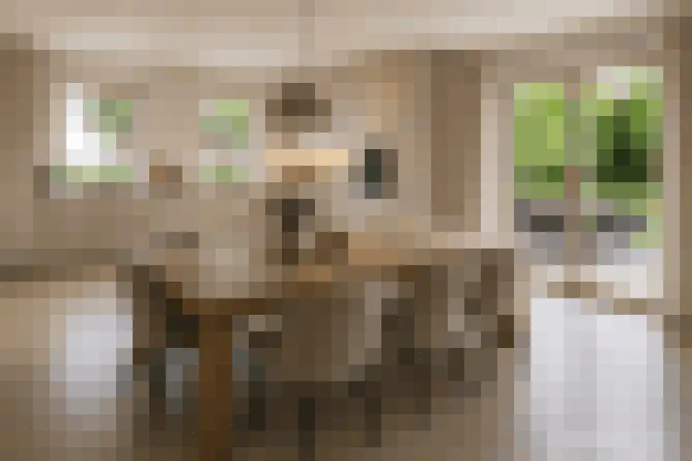 Petrusstraat 7 Nieuw Namen thumbnail 7