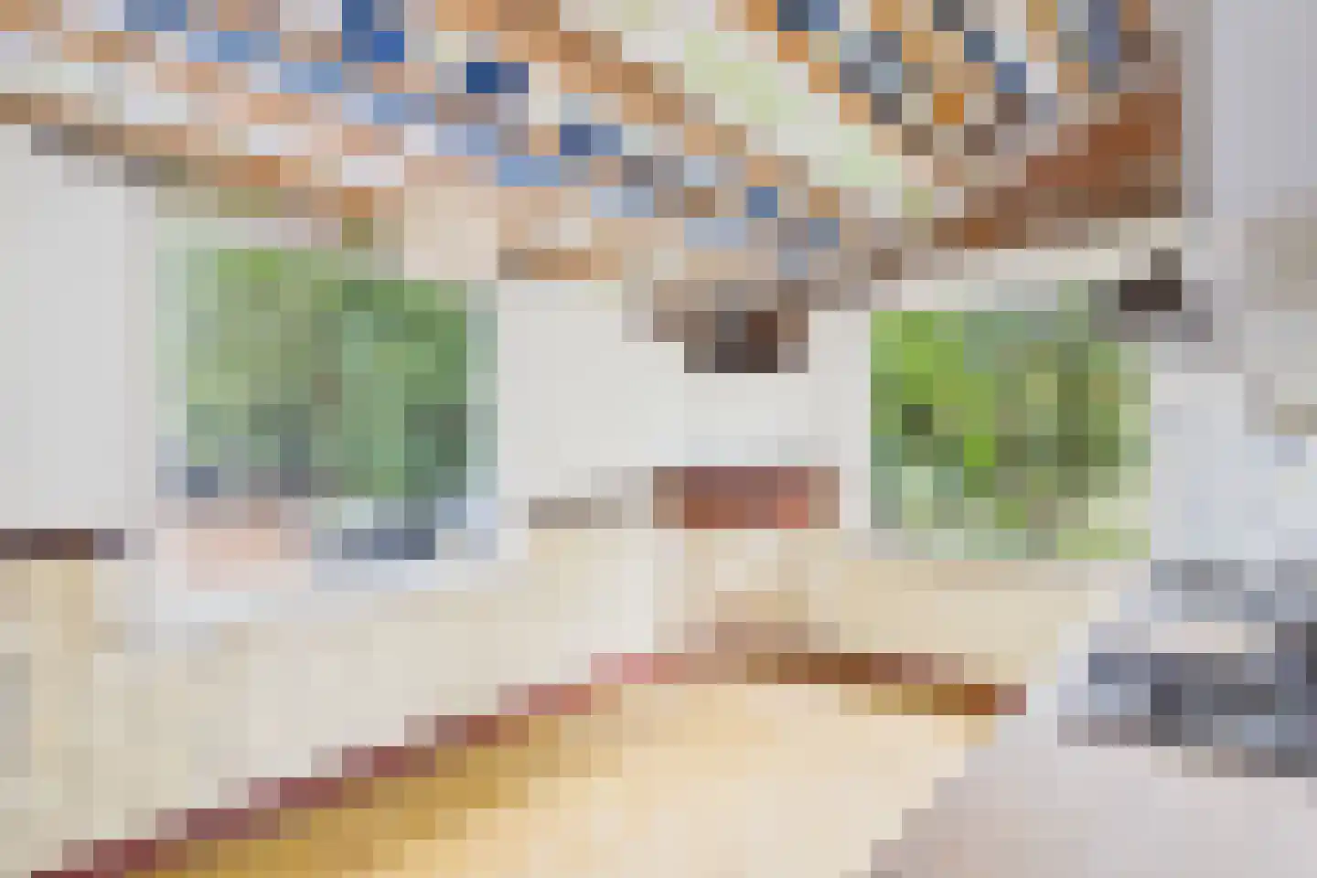 Petrusstraat 7 Nieuw Namen thumbnail 9