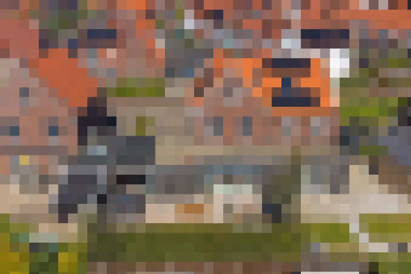Petteflet 3 Kapelle thumbnail 55