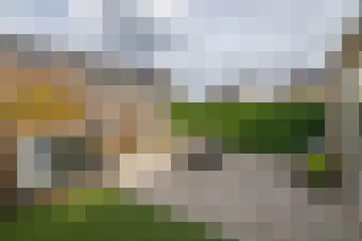 Pettelaar 1 Waalwijk thumbnail 18