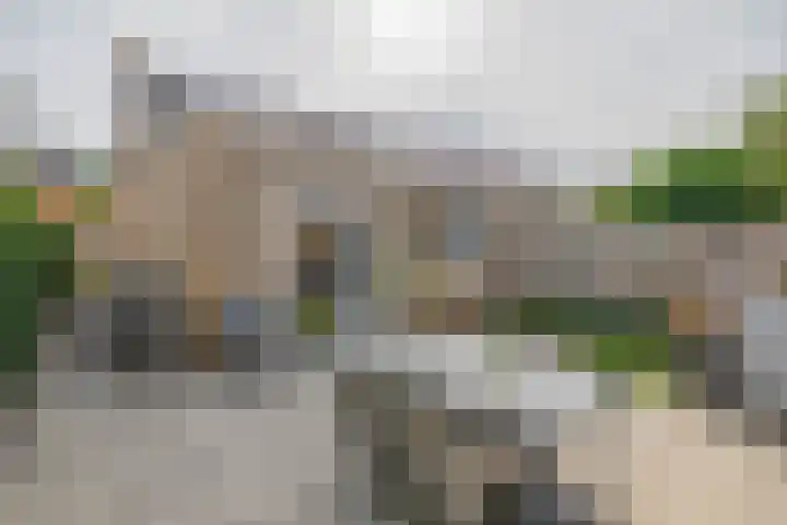 Pettelaar 1 Waalwijk thumbnail 19