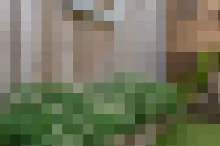 Pettelaar 1 Waalwijk thumbnail 20