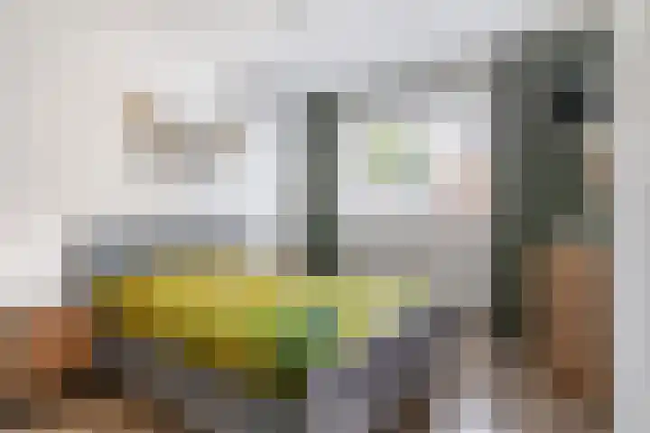 Pettelaar 1 Waalwijk thumbnail 21