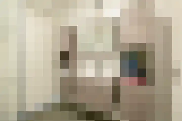 Pettelaar 1 Waalwijk thumbnail 24