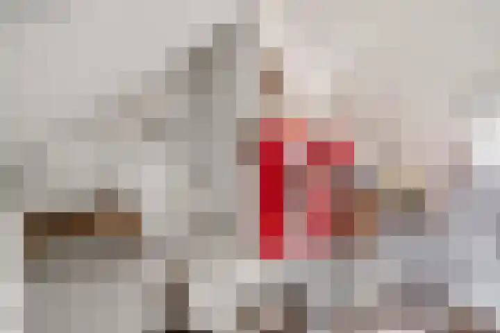 Pettelaar 1 Waalwijk thumbnail 26