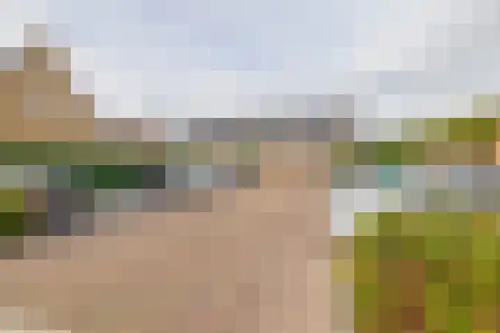 Pettelaar 1 Waalwijk thumbnail 27