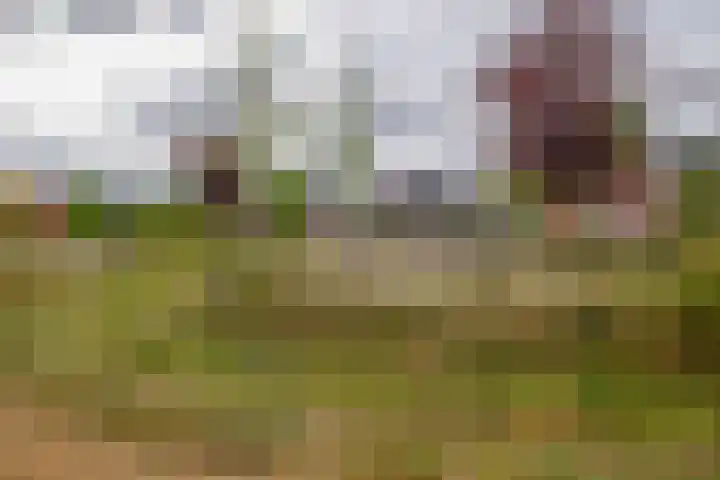 Pettelaar 1 Waalwijk thumbnail 28