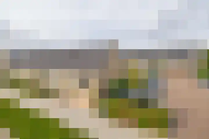 Pettelaar 1 Waalwijk thumbnail 5