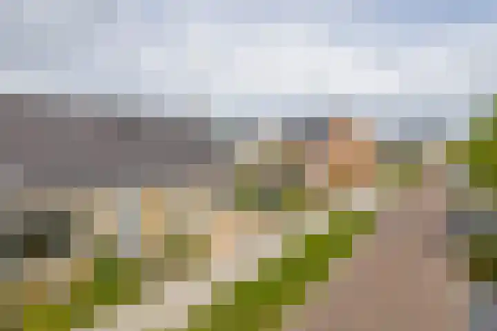 Pettelaar 1 Waalwijk thumbnail 6