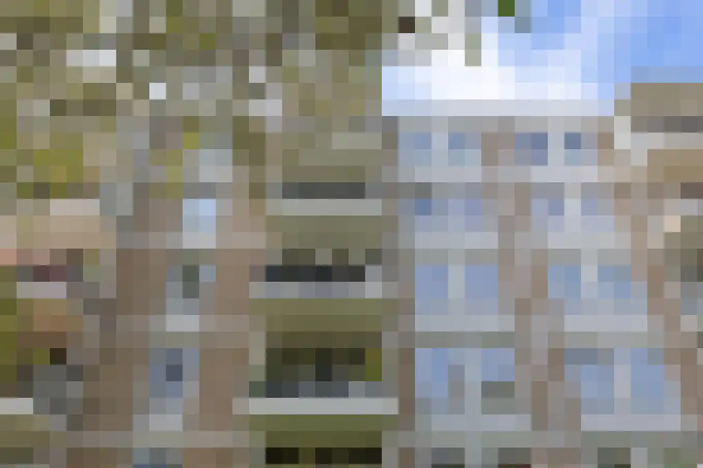 Pettelaarseweg 109 's-Hertogenbosch thumbnail 41