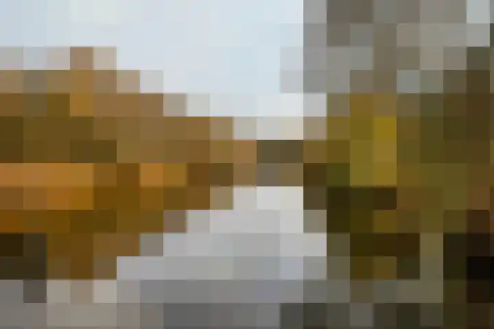 Pettelaarseweg 121 's-Hertogenbosch thumbnail 39