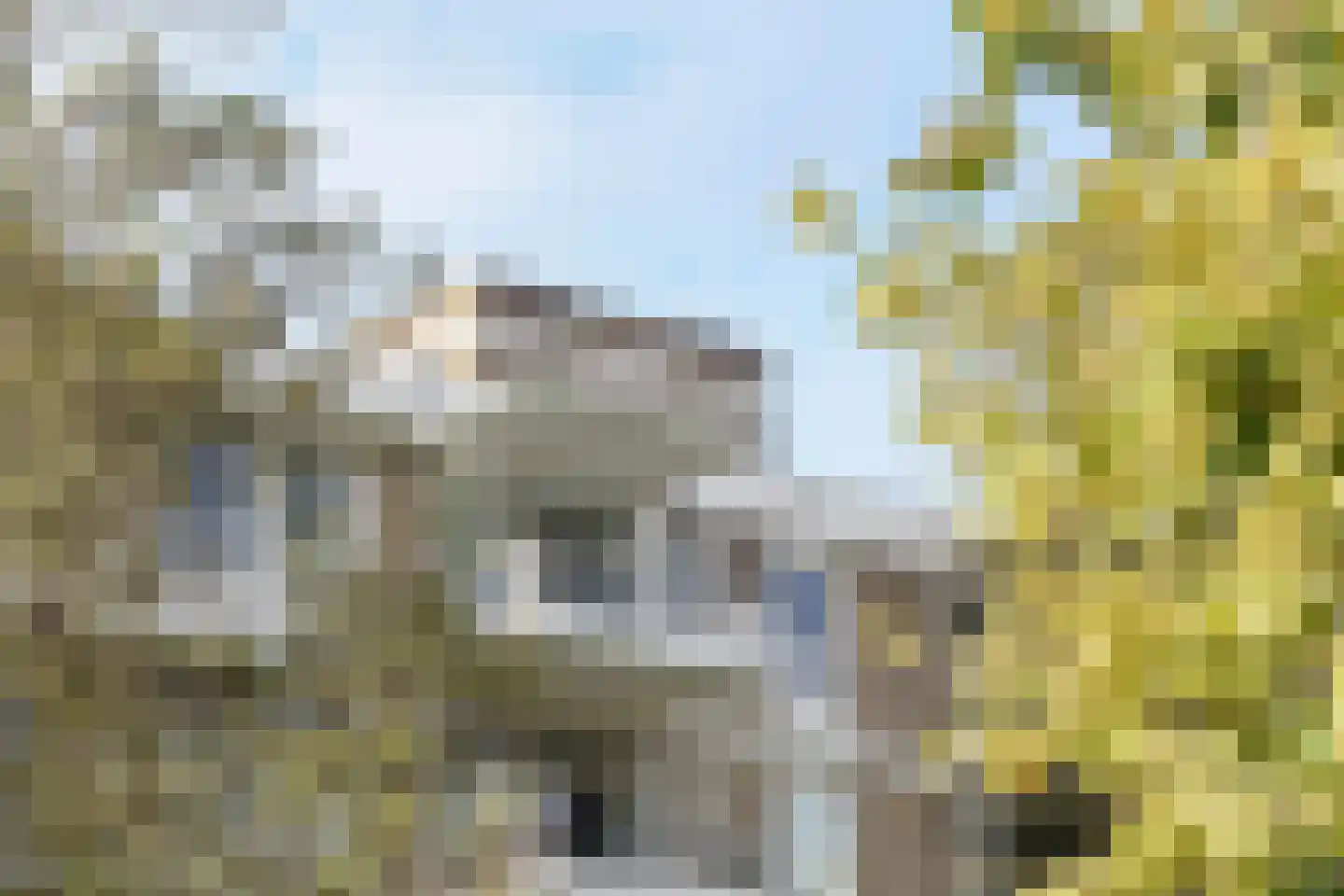 Pettelaarseweg 123 's-Hertogenbosch thumbnail 28