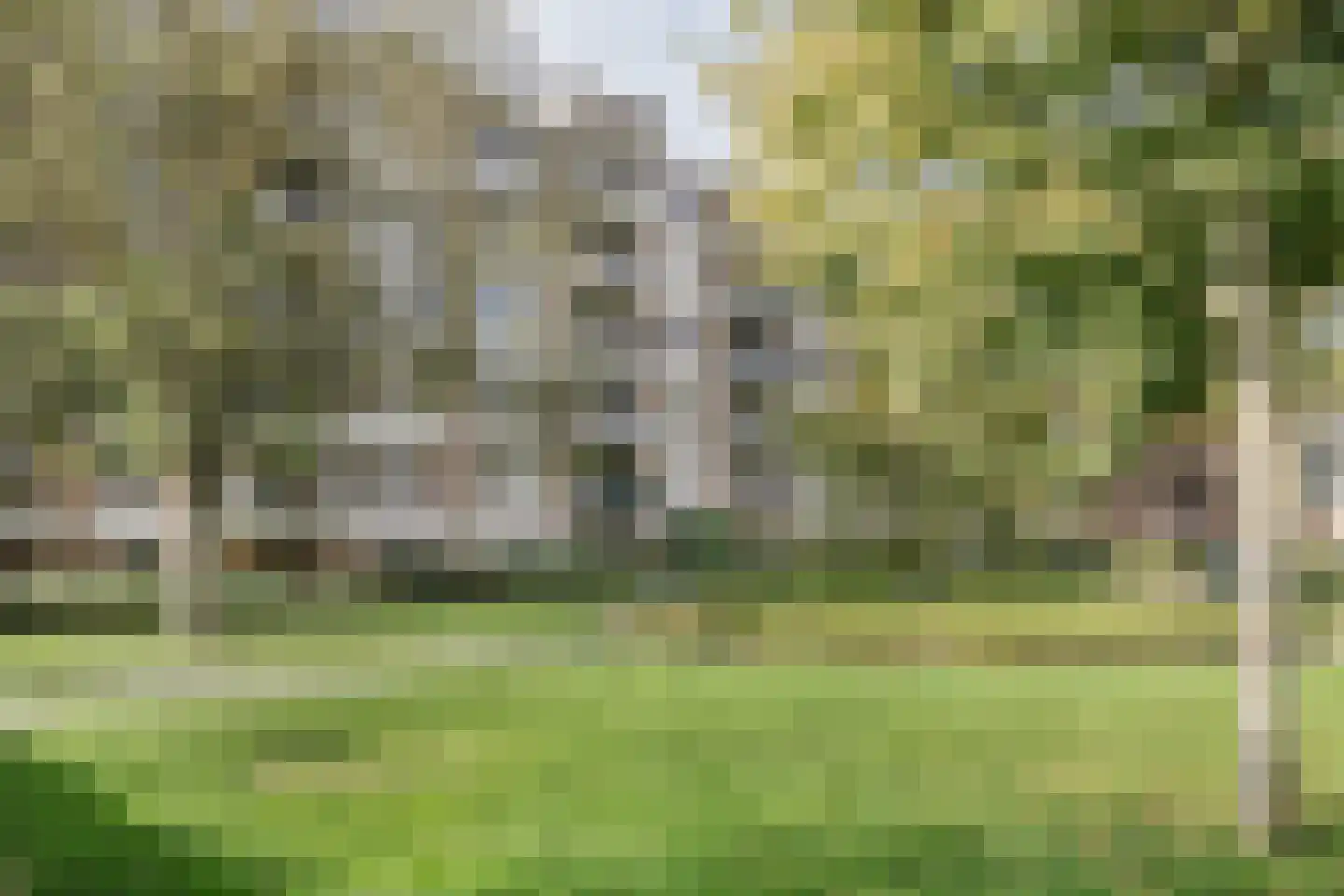 Pettelaarseweg 123 's-Hertogenbosch thumbnail 30