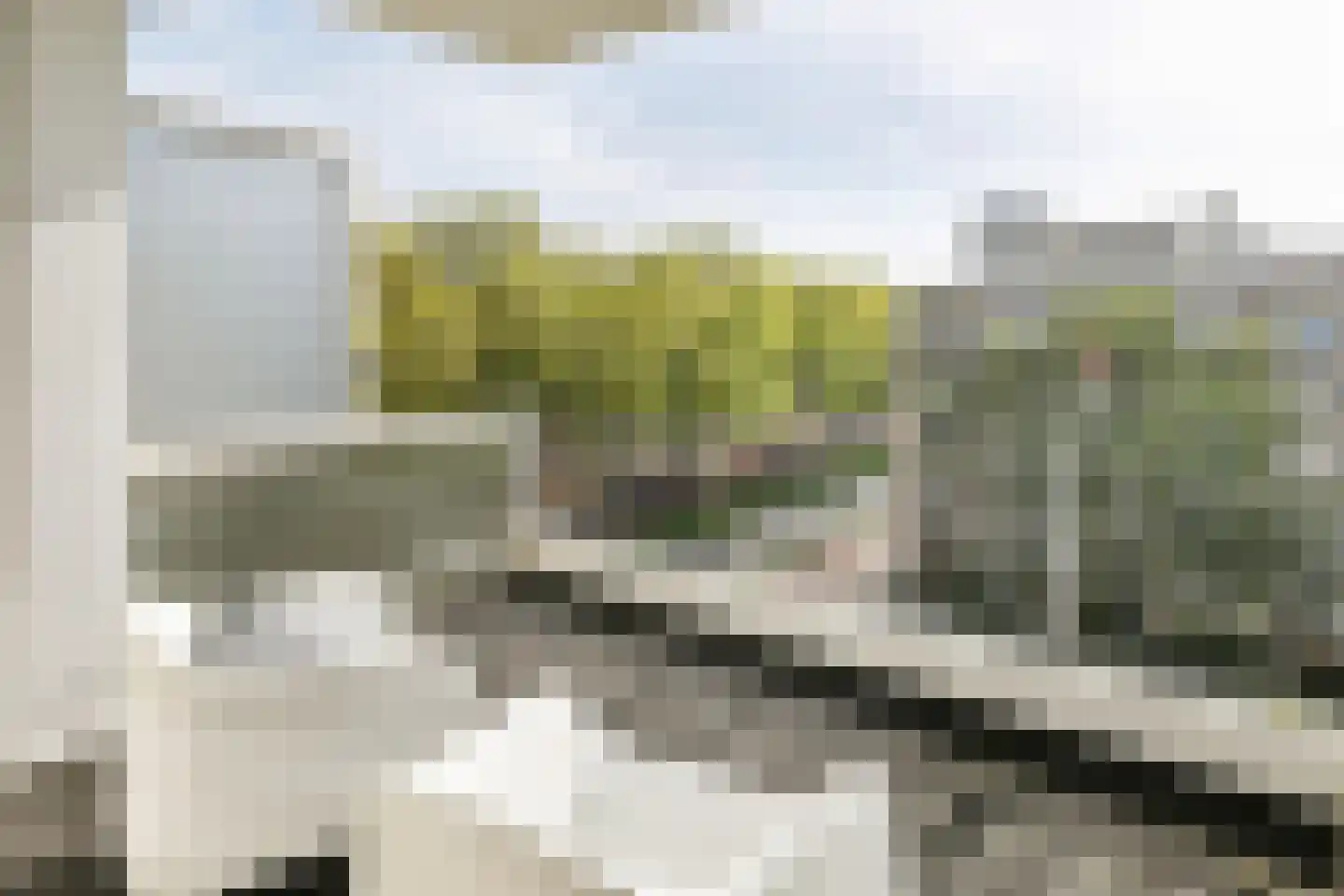 Pettelaarseweg 123 's-Hertogenbosch thumbnail 4