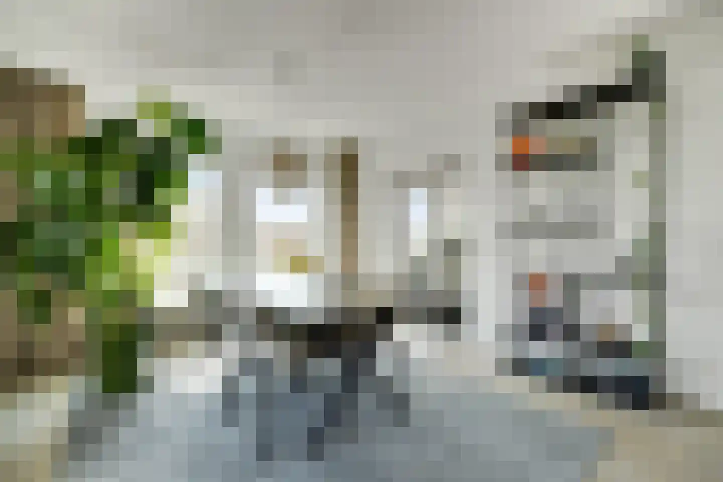 Pettelaarseweg 155 's-Hertogenbosch thumbnail 10