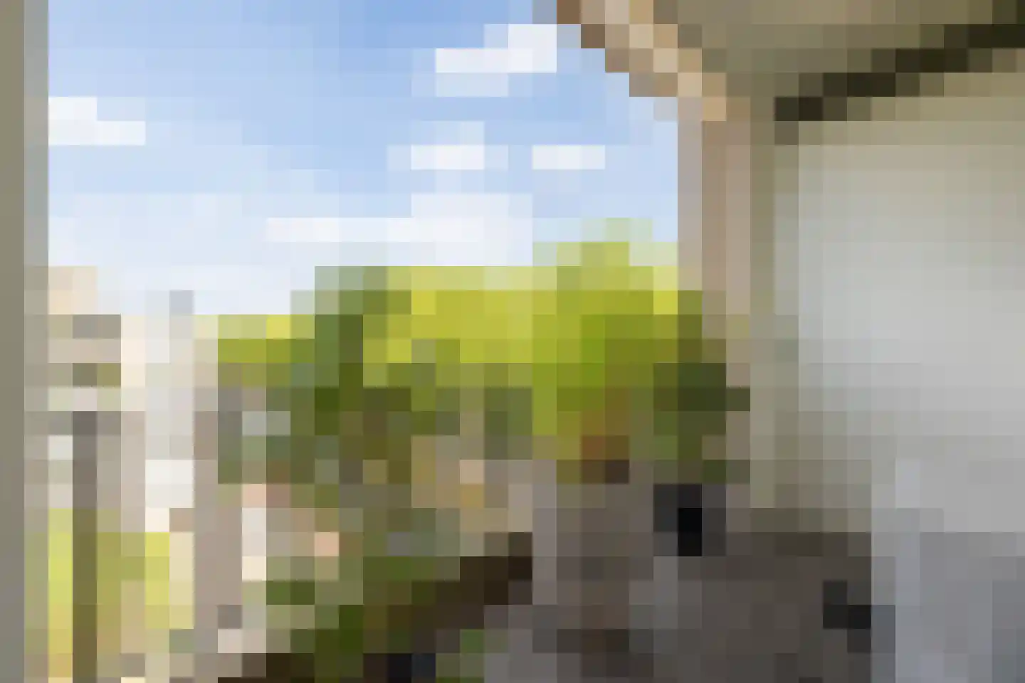 Pettelaarseweg 155 's-Hertogenbosch thumbnail 22