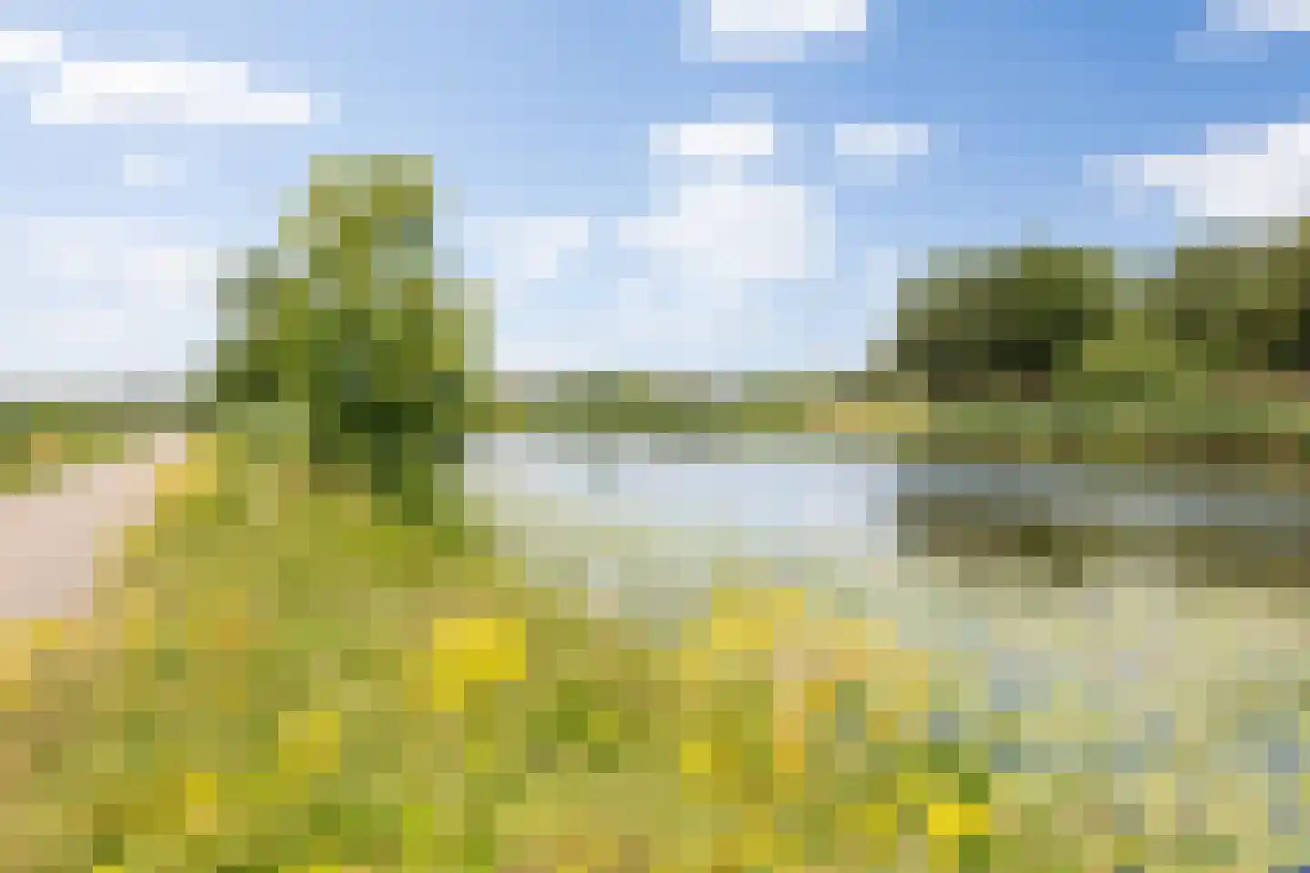 Pettelaarseweg 155 's-Hertogenbosch thumbnail 31