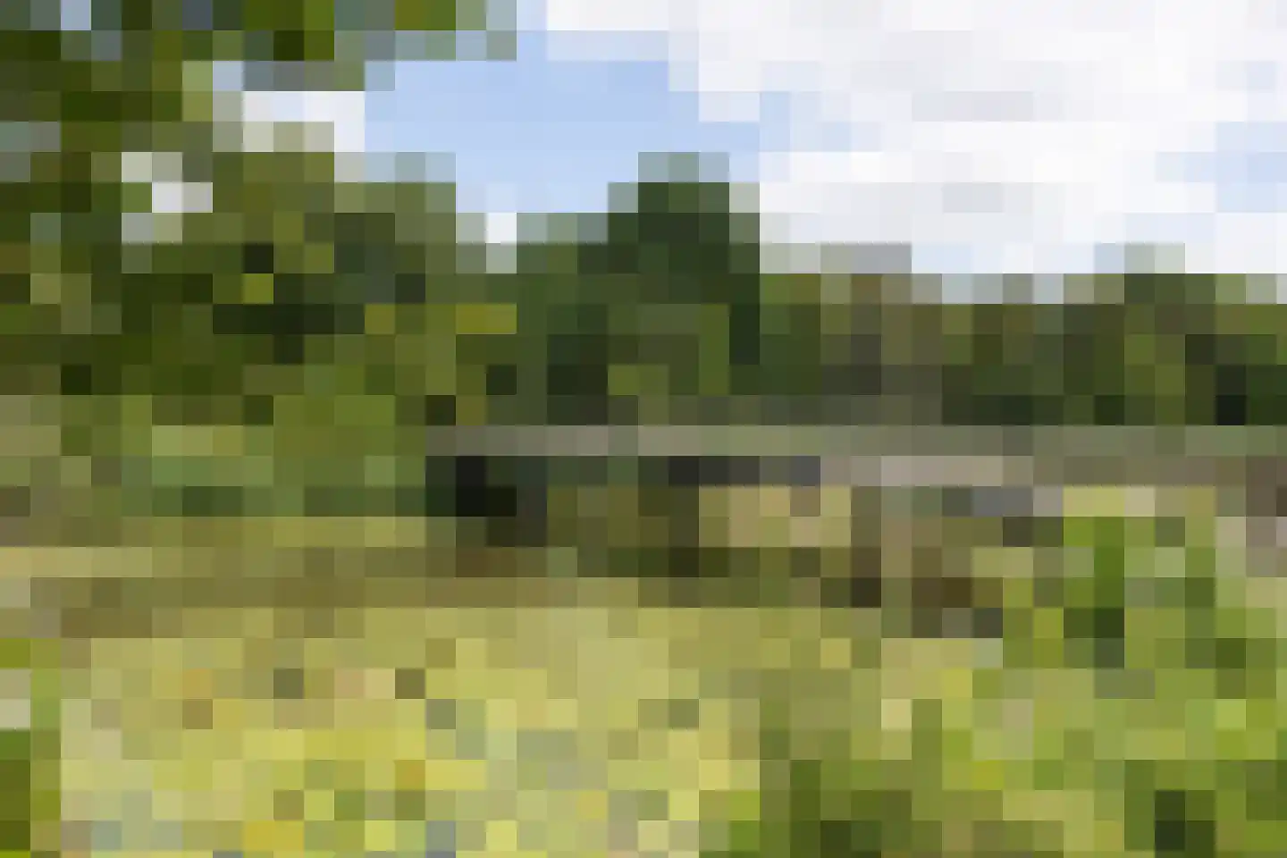 Pettelaarseweg 155 's-Hertogenbosch thumbnail 32