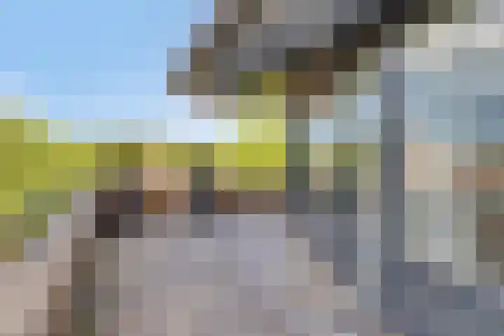 Pettelaarseweg 180 G 's-Hertogenbosch thumbnail 27