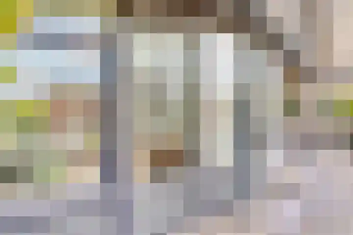 Pettelaarseweg 180 G 's-Hertogenbosch thumbnail 30