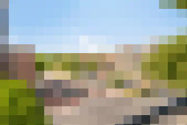 Pettelaarseweg 180 G 's-Hertogenbosch thumbnail 31