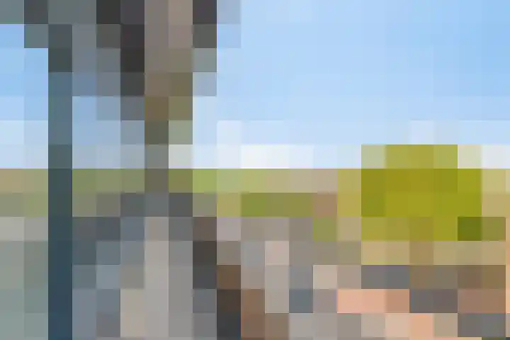 Pettelaarseweg 180 G 's-Hertogenbosch thumbnail 35