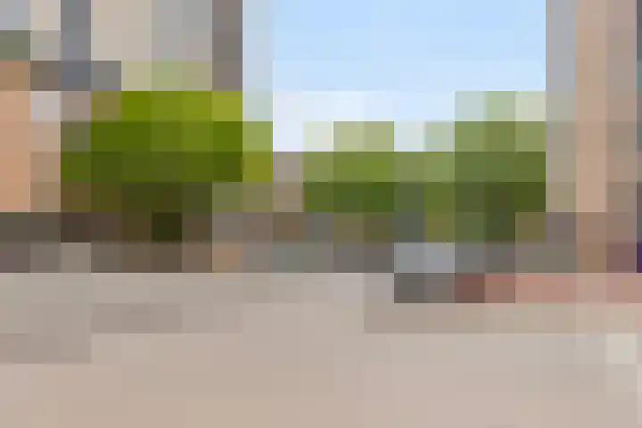 Pettelaarseweg 180 G 's-Hertogenbosch thumbnail 47