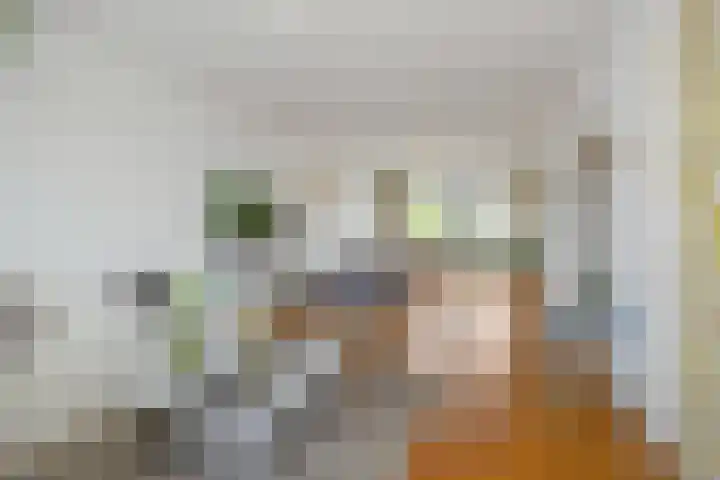 Pettelaarseweg 205 's-Hertogenbosch thumbnail 11