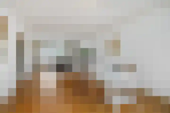 Pettelaarseweg 205 's-Hertogenbosch thumbnail 17