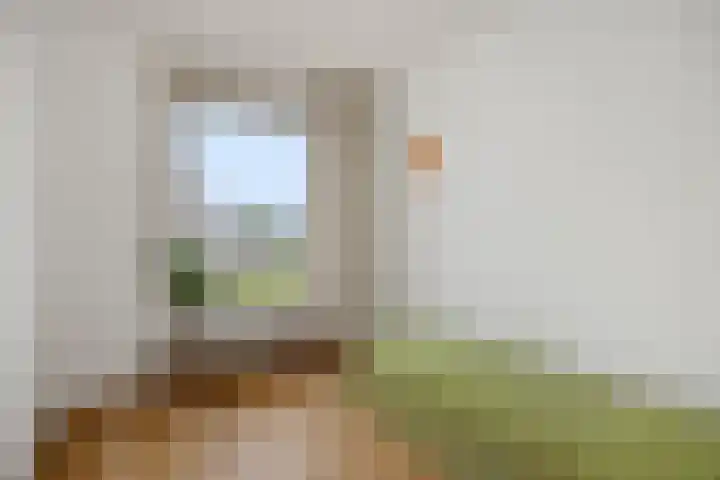 Pettelaarseweg 205 's-Hertogenbosch thumbnail 28