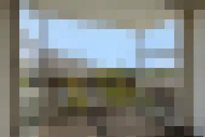 Pettelaarseweg 205 's-Hertogenbosch thumbnail 30