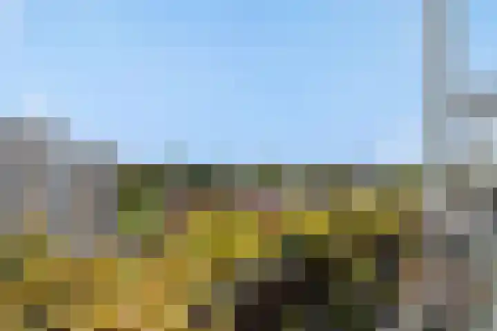 Pettelaarseweg 205 's-Hertogenbosch thumbnail 31