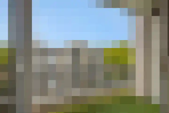Pettelaarseweg 205 's-Hertogenbosch thumbnail 33
