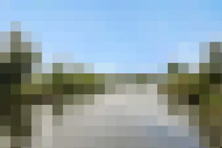 Pettelaarseweg 205 's-Hertogenbosch thumbnail 36